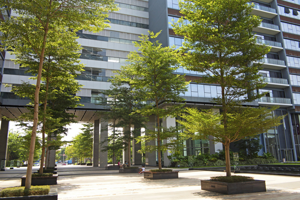 東莞數(shù)碼城消防改造工程項(xiàng)目 東莞數(shù)碼城消防改造工程項(xiàng)目