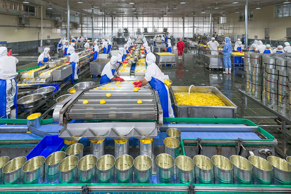 梅州罐頭廠消防改造工程項目 梅州罐頭廠消防改造工程項目