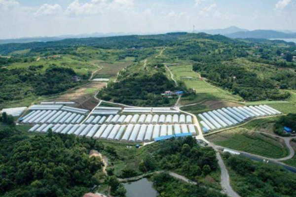 云浮現(xiàn)代農(nóng)業(yè)產(chǎn)業(yè)園消防改造工程項(xiàng)目 云浮現(xiàn)代農(nóng)業(yè)產(chǎn)業(yè)園消防改造工程項(xiàng)目