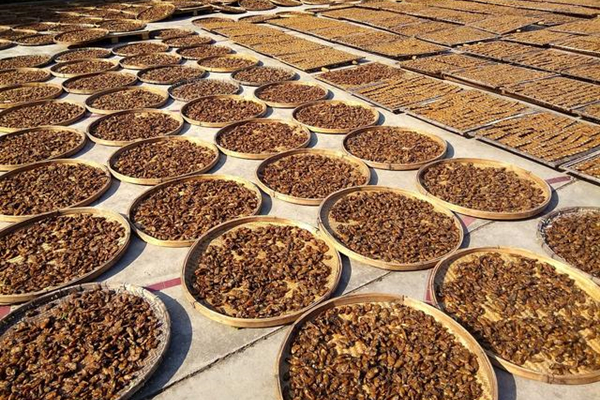 梅州中藥材加工工廠消防維保 梅州中藥材加工工廠消防維保